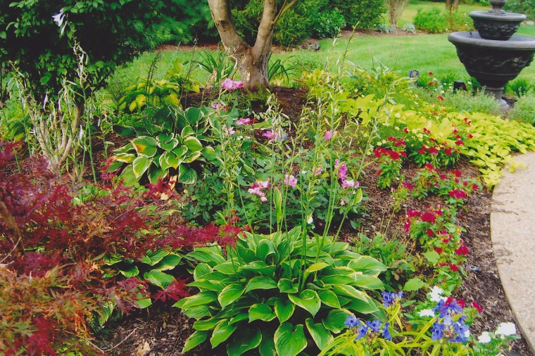 dp1-flowers_0831.jpg
